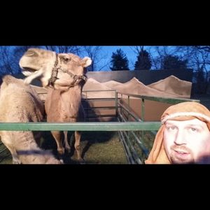 Meet your Posher, Nick